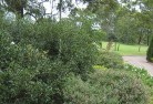 Cranbourne Westresidential-landscaping-35.jpg; ?>