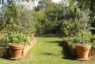 Cranbourne Westvegetable-gardens-3.jpg; ?>